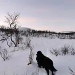 Loghouse In Arctic Wonderland! Apartman