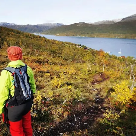 Loghouse In Arctic Wonderland! * Kvaloya