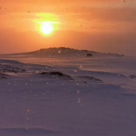 شقة Loghouse In Arctic Wonderland! *