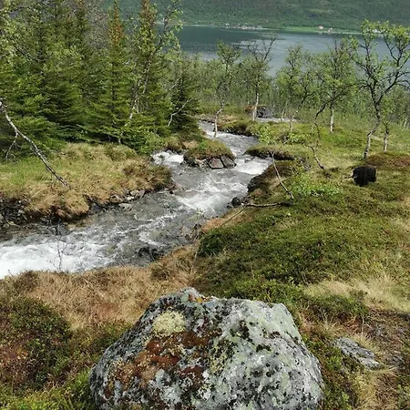 Loghouse In Arctic Wonderland! Apartman Kvaloya