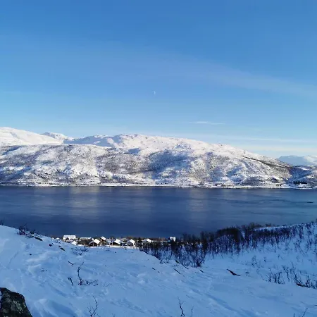 Loghouse In Arctic Wonderland! شقة Kvaloya