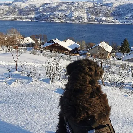 Loghouse In Arctic Wonderland!