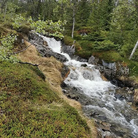 Loghouse In Arctic Wonderland! * Kvaloya