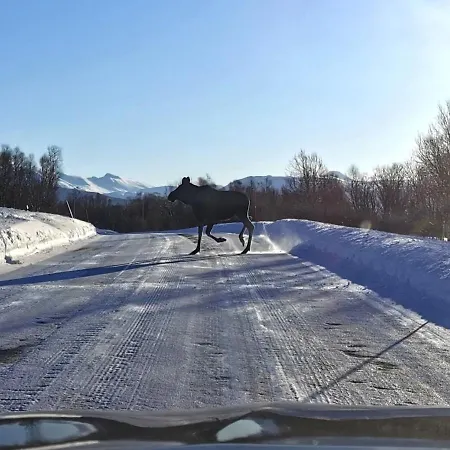 Loghouse In Arctic Wonderland! Apartman