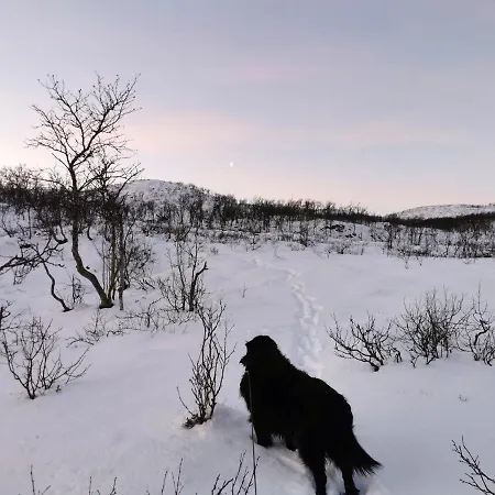 Loghouse In Arctic Wonderland! شقة