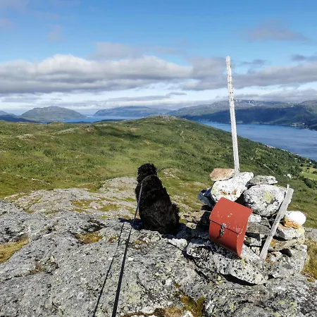 Apartman Loghouse In Arctic Wonderland! Kvaloya