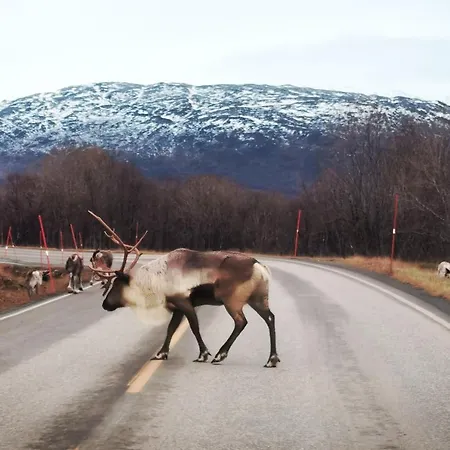 Loghouse In Arctic Wonderland! Apartman
