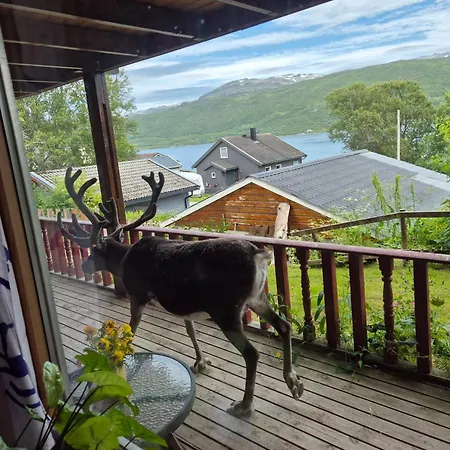 Loghouse In Arctic Wonderland!