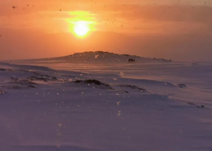 Apartmán Loghouse In Arctic Wonderland! *