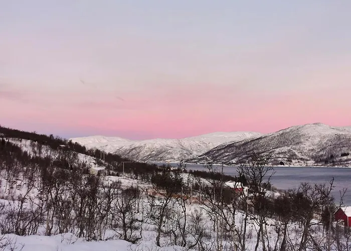 Appartamento Loghouse In Arctic Wonderland! Kvaloya