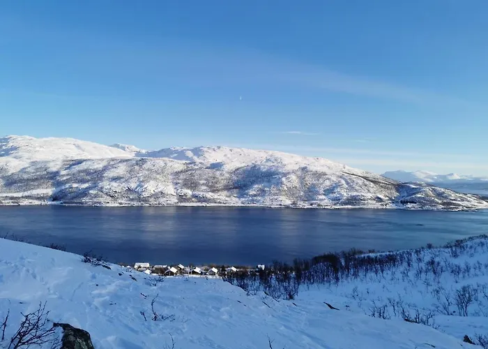 Loghouse In Arctic Wonderland! Apartmán Kvaloya