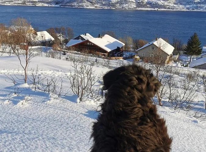 Loghouse In Arctic Wonderland!