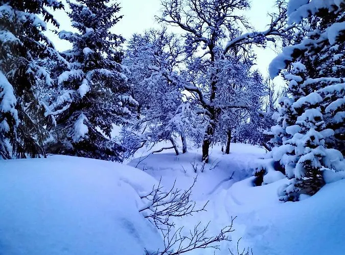 Appartamento Loghouse In Arctic Wonderland!