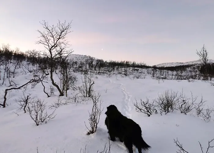 Loghouse In Arctic Wonderland! Appartamento