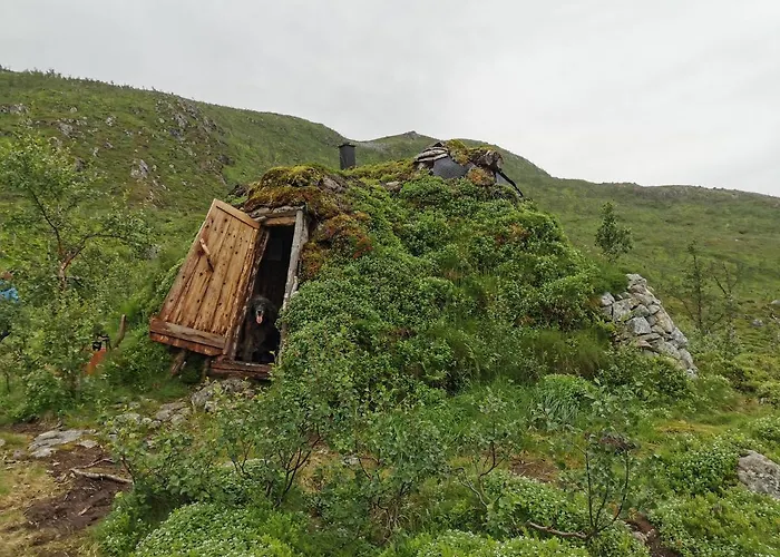 Loghouse In Arctic Wonderland! Kvaloya