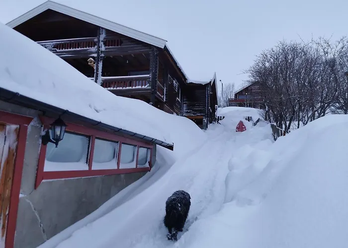 Appartamento Loghouse In Arctic Wonderland! *