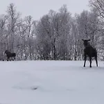 Loghouse In Arctic Wonderland! Апартаменты Kvaloya