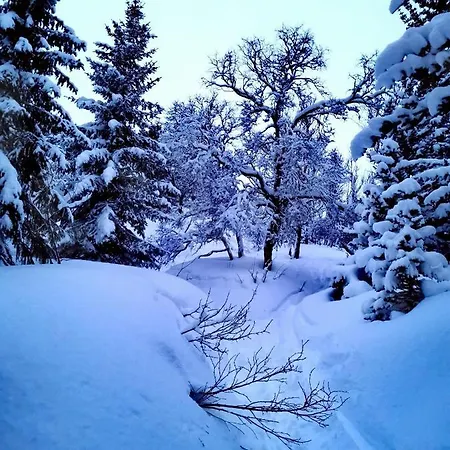 Leilighet Loghouse In Arctic Wonderland!