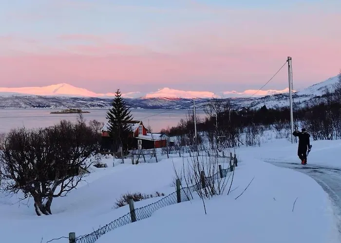 Loghouse In Arctic Wonderland! *