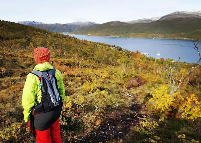 Loghouse In Arctic Wonderland! * Kvaloya