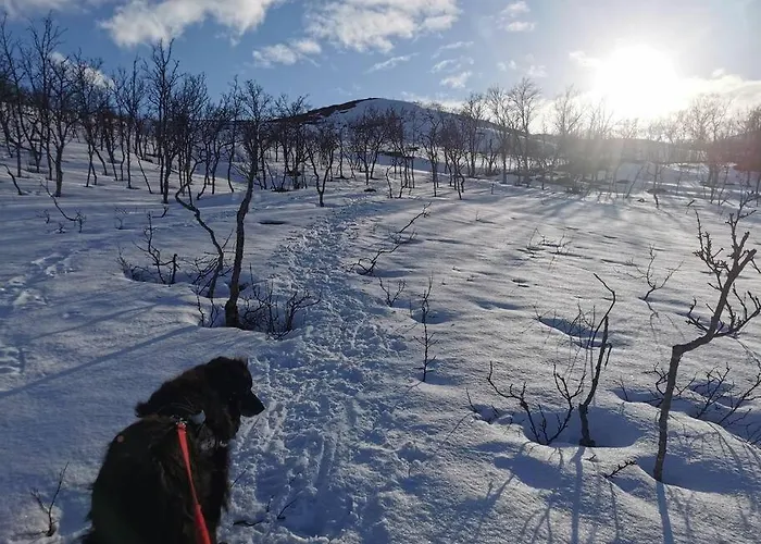 Appartement Loghouse In Arctic Wonderland! *