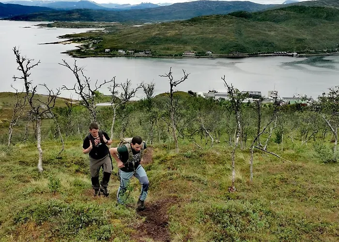 Loghouse In Arctic Wonderland! Kvaloya