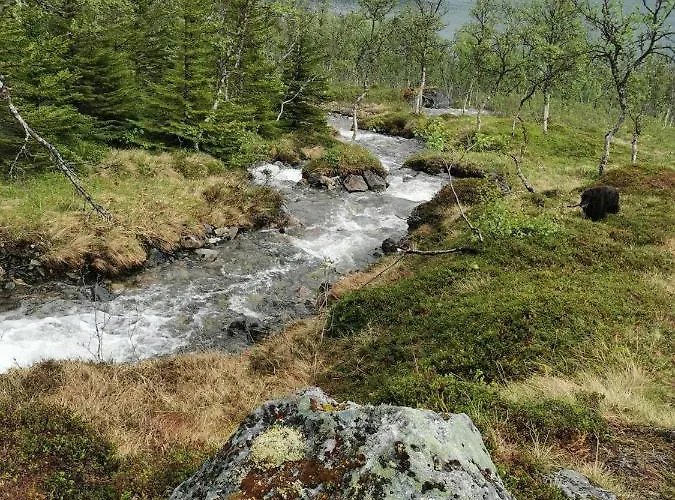 Loghouse In Arctic Wonderland! Appartement Kvaloya