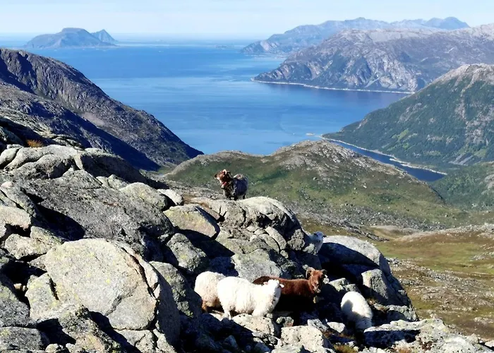 Loghouse In Arctic Wonderland! * Kvaloya