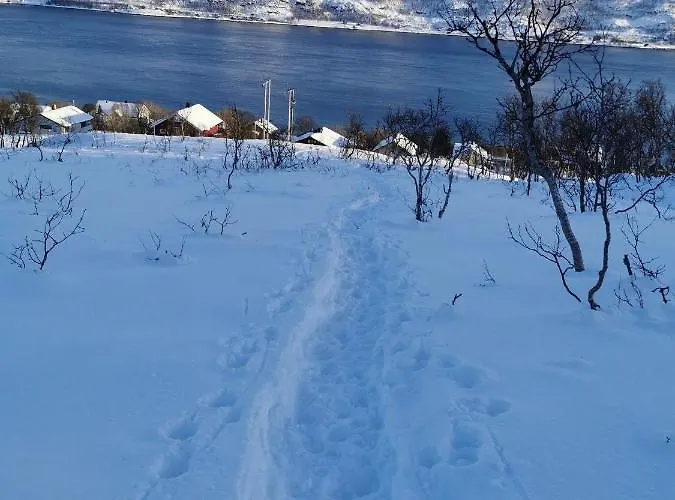Loghouse In Arctic Wonderland! Appartement *